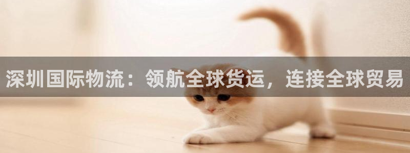 28圈加拿大是什么