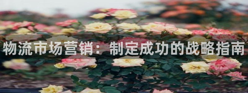 28圈加拿大预测
