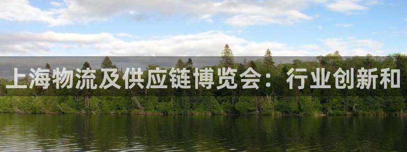 28圈怎么下载教程：上海物流及供应链