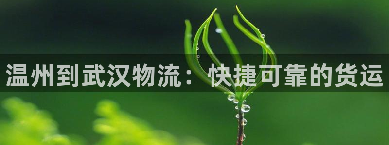 28圈加拿大最新版