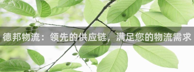28圈大神预测