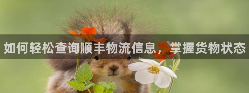 28圈注册登录：如何轻松查询顺丰物流