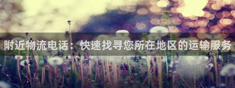 28圈圈助手