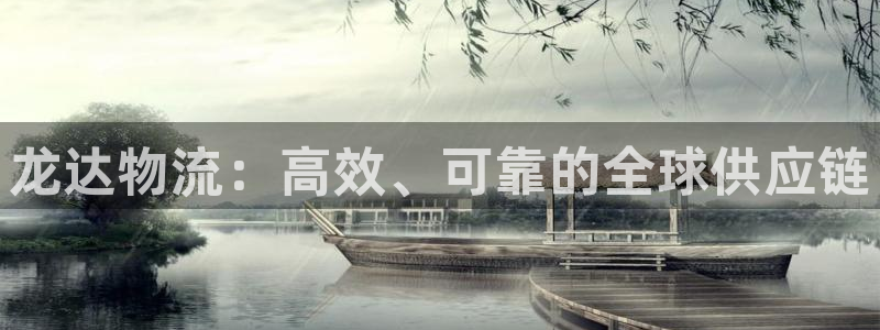 28圈怎么注册下载：龙达物流：高效、