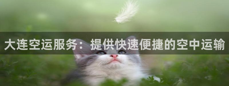 28圈提现未达5期是什么意思