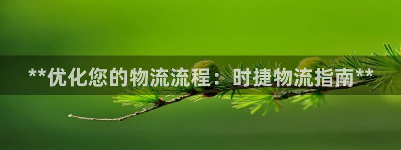 28圈里的财神：**优化您的物流流程
