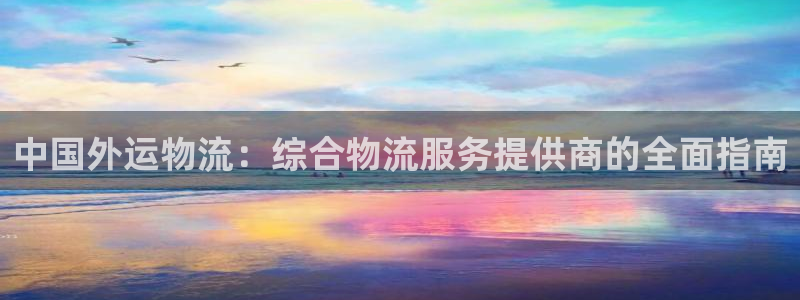 28圈注册与教程：中国外运物流：综合