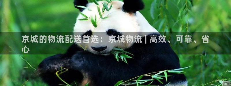 28圈注册官网：京城的物流配送首选：