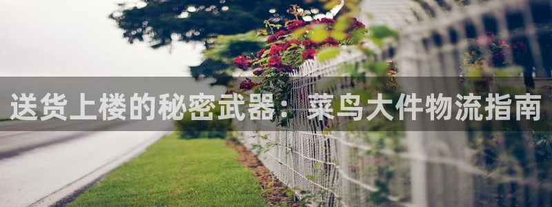 28圈网站平台是多少