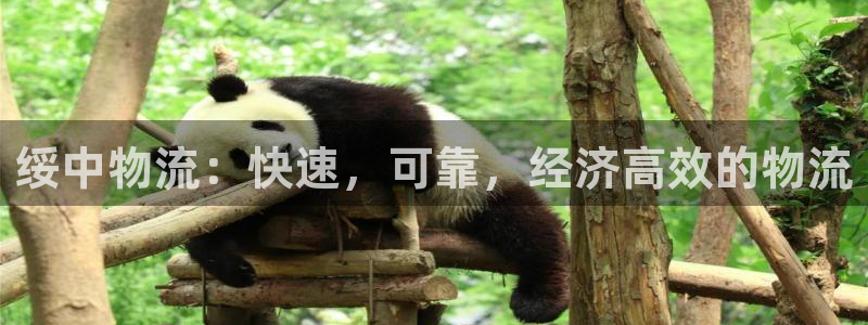 28圈加拿大在线预测