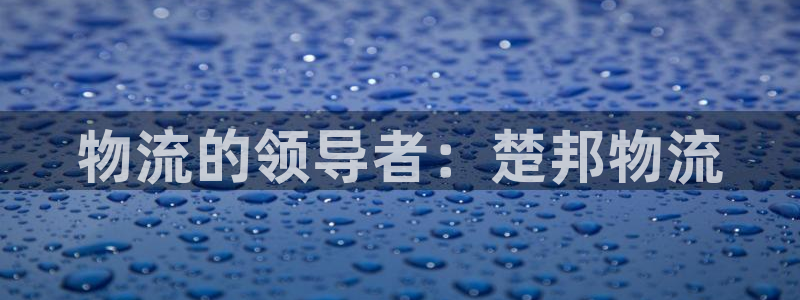 28圈注册网站多少钱：物流的领导者：