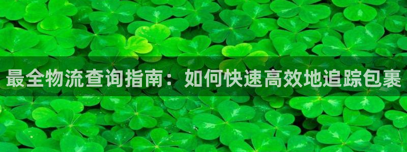 28圈娱乐官网网页入口