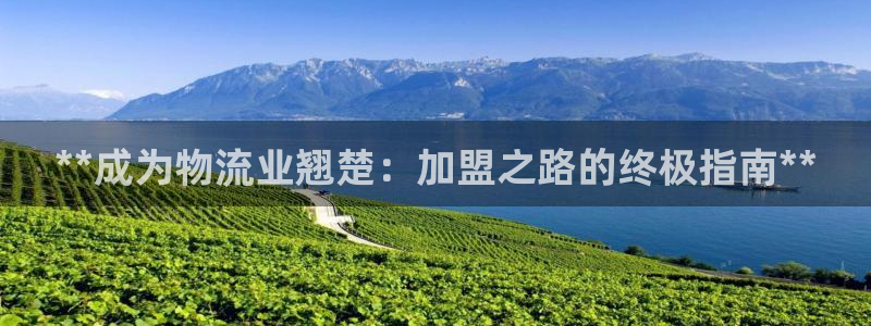 28圈注册网址：**成为物流业翘楚：
