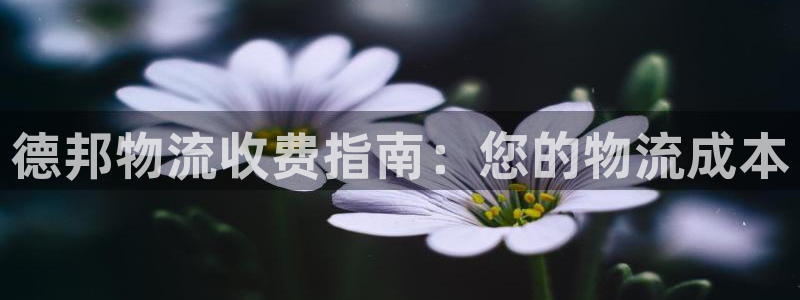 28圈加拿大在线预测