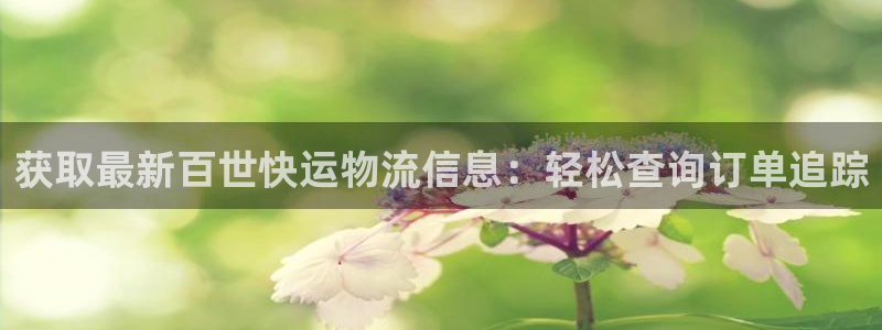 28圈忘记账号