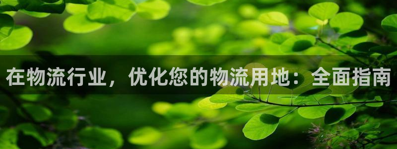 28圈p扣除