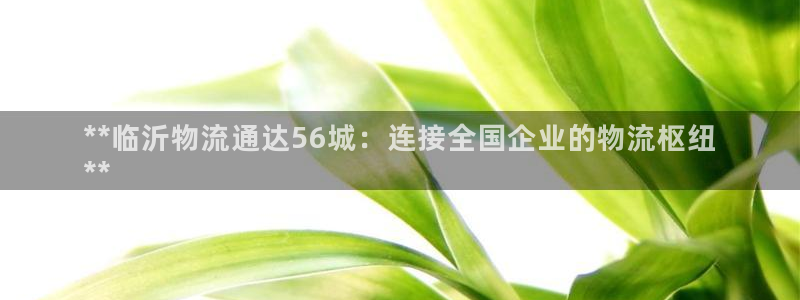 28圈app怎么注销