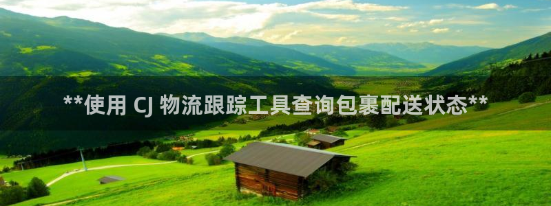 28圈充值不到账