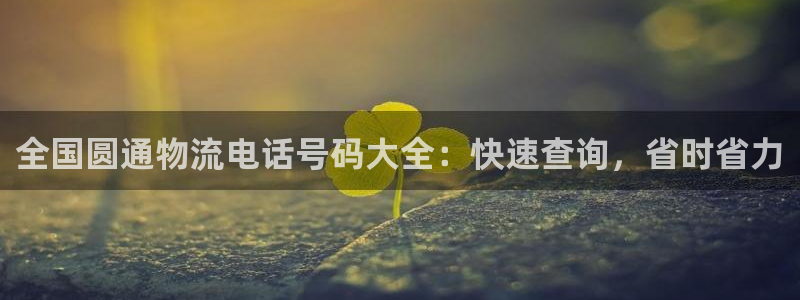 28圈游戏链接