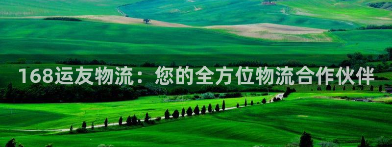 28圈登录流程：168运友物流：您的