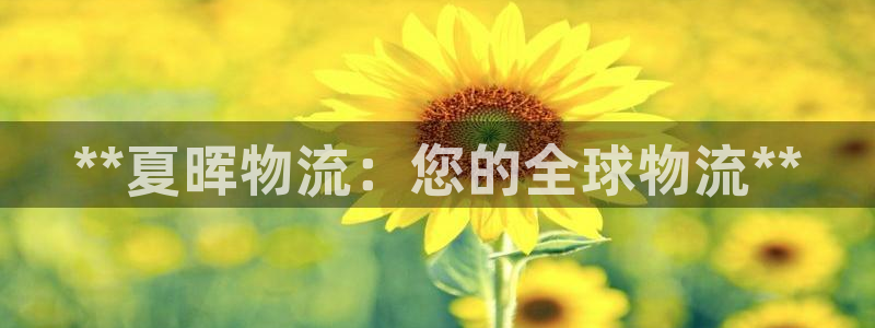 自行车28圈是什么意思
