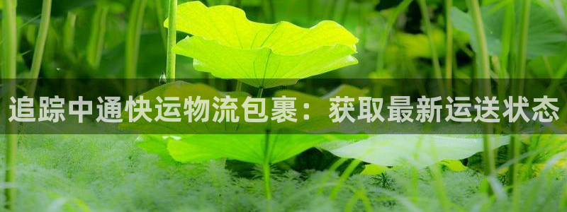 28圈加拿大开奖
