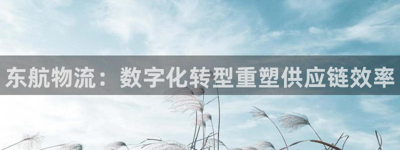 28圈官网开奖结果预测