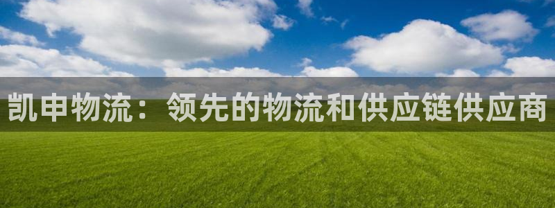 28圈加拿大是什么意思
