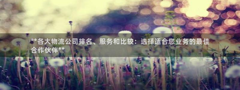 28圈加拿大模拟器