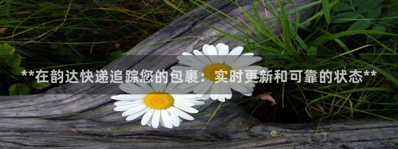 28圈充值为什么充不了