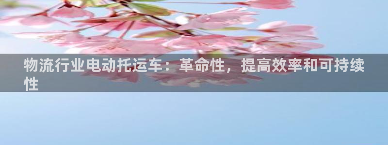 28圈自行车图片大全