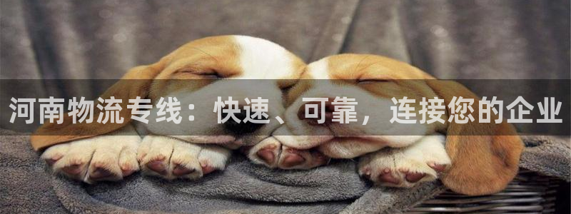 28圈官方官网