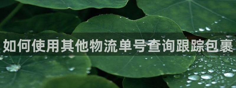 28圈登录用户名登录不上
