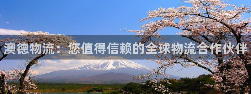 28圈p扣款什么意思