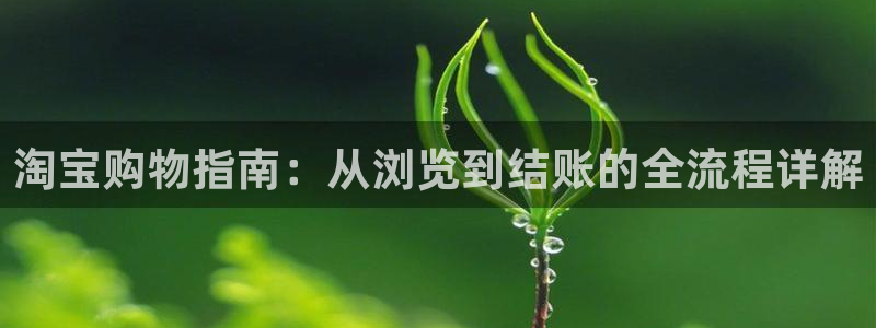 28圈加拿大是什么