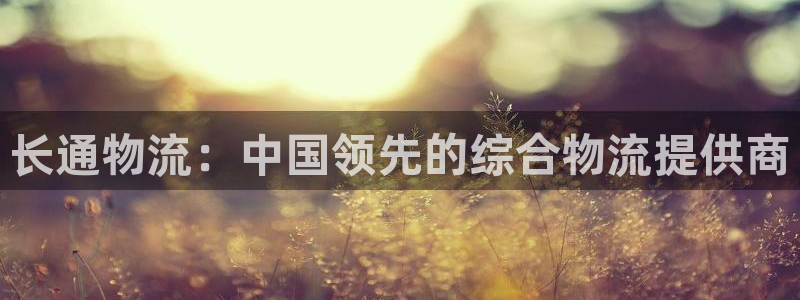 28圈充值不到账什么原因