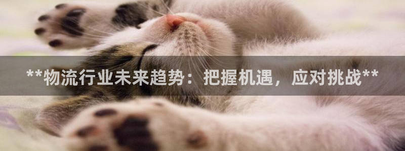 28圈自行车图片大全