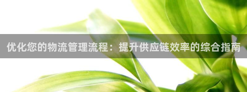28圈加拿大走势