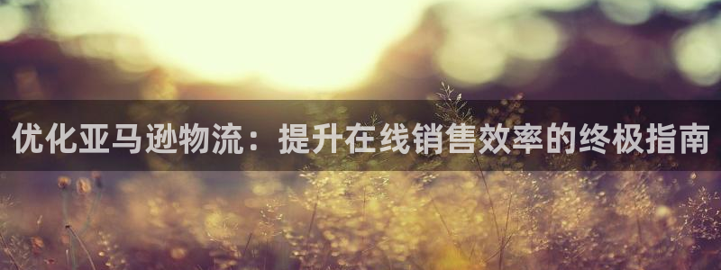 28圈注册网页