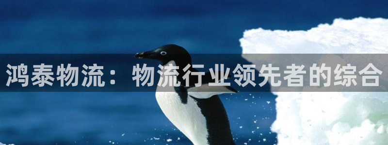 28圈口内径是多大