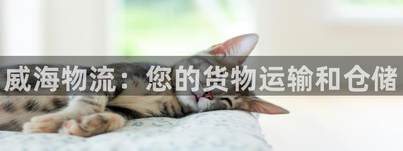 28圈机器人是什么软件