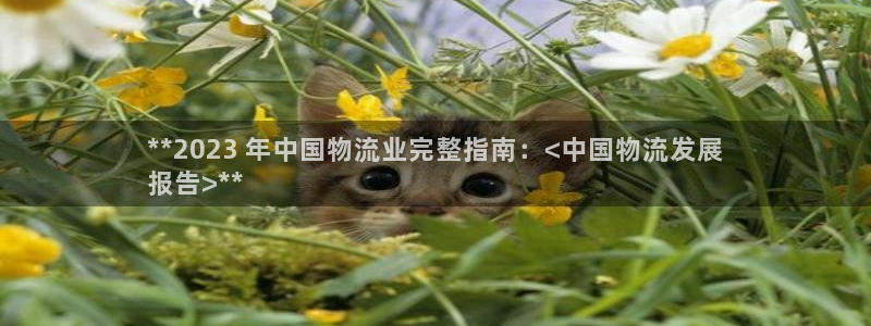 28圈能不能退