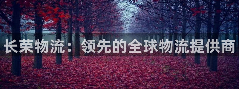 28圈.ccm南宫