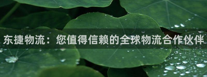 28圈充值不到账怎么办