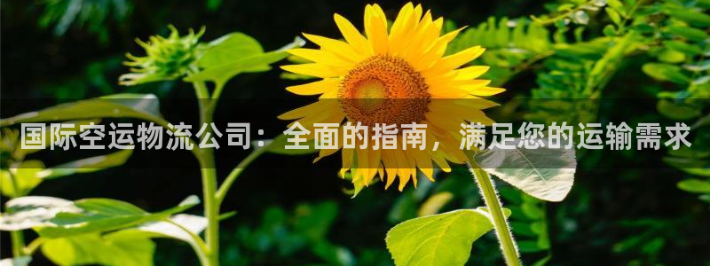 28圈是什么软件