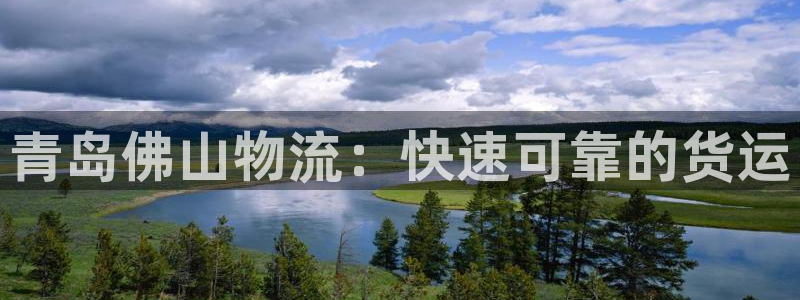 28圈预测
