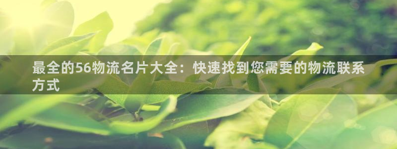 28圈忘记账号