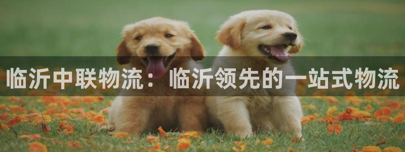 28圈官方官网版