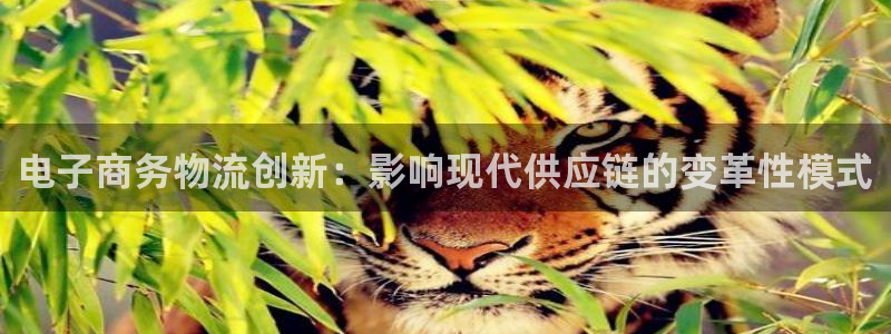 28圈v6能卖多少