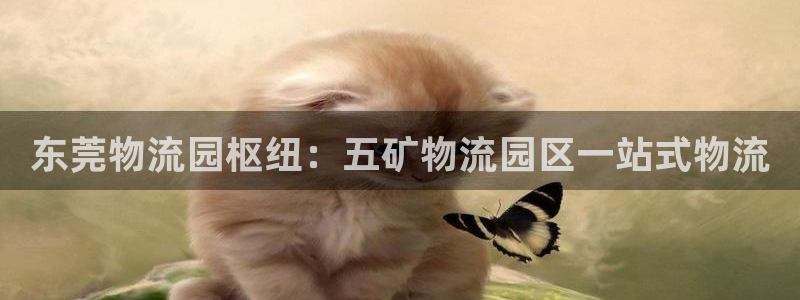 28圈怎么注册下载